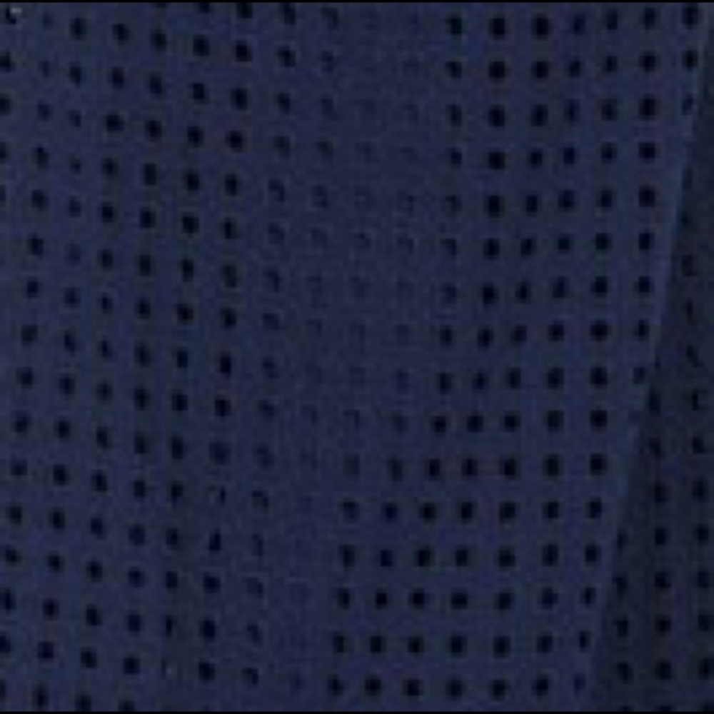 Nwt Echo Sheer Eyelet Midi Dress - image 6